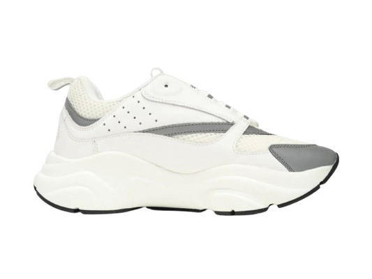 Dior b22 Sneaker