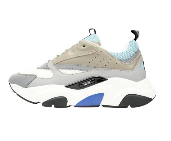 Dior b22 Sneaker